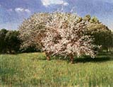 Blooming Apple Trees 